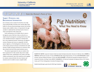 Swine: From the Animal`s Point of View 3 / Pig Nutrition: What You