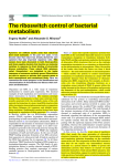 The riboswitch control of bacterial metabolism