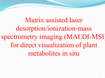 Matrix assisted laser desorption/ionization
