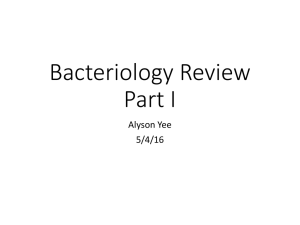 bacteriology1 review 2016 AY