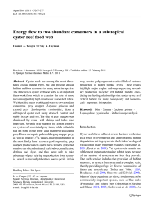 Energy flow to two abundant consumers in a subtropical oyster reef