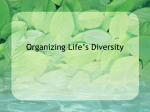 Organizing Life`s Diversity