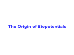 Origin of Bio Potential Anotomy