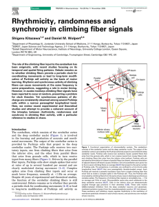 Rhythmicity, randomness and synchrony in climbing fiber signals