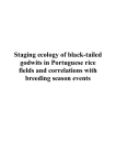 Staging ecology of black-tailed godwits in Portuguese rice fields and