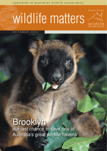 Brooklyn - Australian Wildlife Conservancy