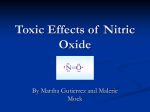 Toxic Effects of Nitric Oxide