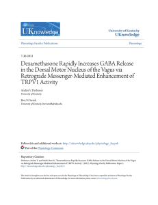 Dexamethasone Rapidly Increases GABA Release in the Dorsal