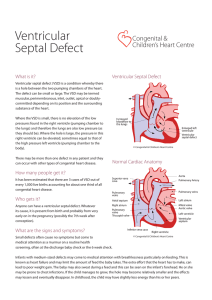 Ventricular Septal Defect PDF