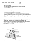 Sheep Heart Dissection