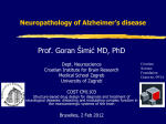 Amyloid cascade hypothesis