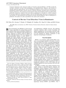 Control of Bovine Viral Diarrhea Virus in Ruminants