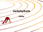 Carbohydrate Notes
