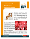 Degenerative mitral valve disease