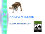 animal welfare - ELISTA Education