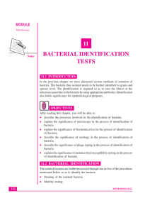 11 bacterial identification tests