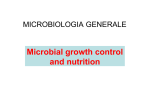 Microbial growth control and nutrition