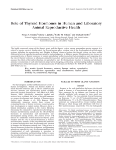 Role of Thyroid Hormones in Human and Laboratory Animal