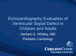 Echocardiography Evaluation of Ventricular Septal Defect
