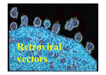 Virus production in packaging cell lines