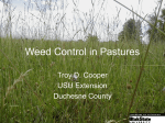 Weed Control in Pastures - Utah State University Extension