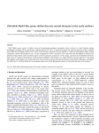 Zebrafish BarH-like genes define discrete neural domains in the