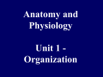 Anatomy and Physiology Unit 1 - Organization - mics-bio2