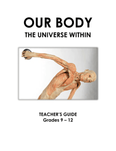 the universe within - The Learning Centers at Fairplex