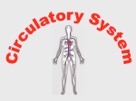 Circulatory system PPT