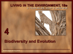 Biodiversity and Evolution