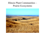 Begin grasslands and Illinois prairie - Powerpoint for April 25.
