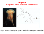 Chapter 8 Enzymes: basic concepts and kinetics