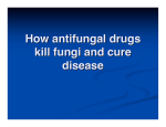 How antifungal drugs kill fungi and cure disease