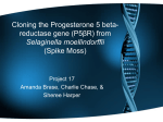 Cloning the Progesterone 5 beta- reductase gene