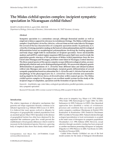 The Midas cichlid species complex: incipient sympatric speciation in