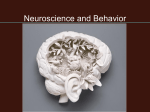 Neuroscience