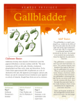 Gallbladder - Remède Physique