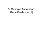 Lecture 6 (09/11/2007): Finding Genes from Genomes