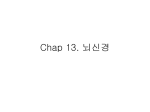 Chap 13. 뇌신경