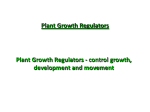 Plant Growth Regulators Plant Growth Regulators
