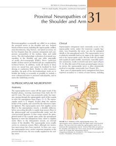31 - Proximal Neuropathies of the Shoulder and Arm
