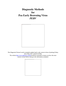 Pea Early Browning Virus - Plant Biosecurity Toolbox