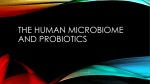 Probiotics - WordPress.com
