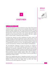Lesson 8. Enzymes