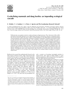 Co-declining mammals and dung beetles: an impending ecological