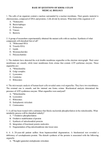 Base of questions of KROK-1 Exam Medical Biology 1. The cells of