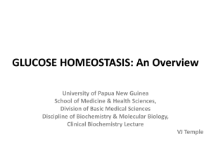 GLUCOSE HOMEOSTASIS: An Overview