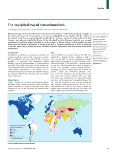 The new global map of human brucellosis