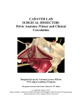 cadaver lab - NYU School of Medicine