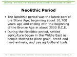 Neolithic Period - Middle School World History